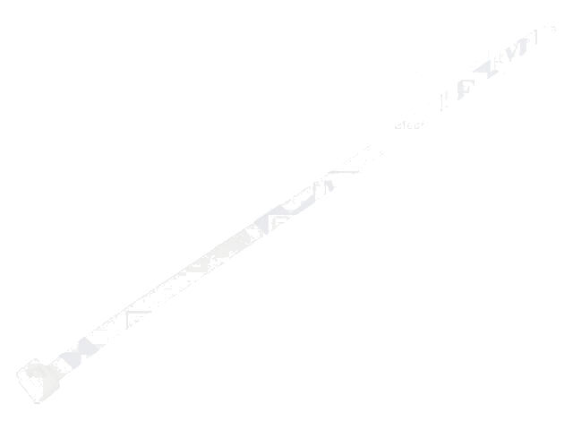 Kabelbinder; L: 300mm; W: 7,6mm; polyamide; 535N; natuurlijk; T Kabelbinder; L: 300mm; W: 7,6mm; polyamide; 535N; natuurlijk; T